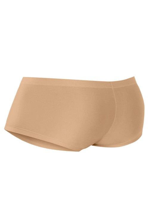 sand gold Hipster Brief C4MSPX13 - XL